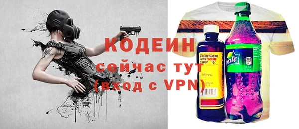 прущий лед Алзамай