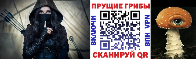 наркошоп  Жуковский  Галлюциногенные грибы Psilocybe 
