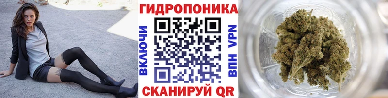 Шишки марихуана OG Kush  Жуковский 